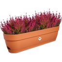 elho Vibia Campana Balcony Box - 70 cm - Terra