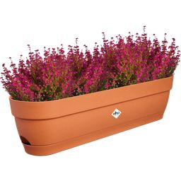 elho Vibia Campana Balcony Box - 70 cm - Terra