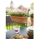 elho Vibia Campana Balcony Box - 70 cm - Terra