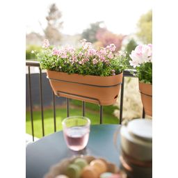 elho Vibia Campana Balcony Box - 70 cm - Terra