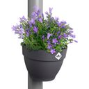 Regenfallrohrpflanzgefäß vibia campana 22cm - anthrazit