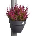 Regenfallrohrpflanzgefäß vibia campana 22cm - anthrazit