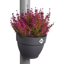 Regenfallrohrpflanzgefäß vibia campana 22cm - anthrazit