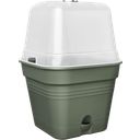 elho green basics growpot square - 15 cm - verde foglia