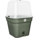 elho green basics growpot square - 15 cm - verde foglia