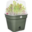 elho green basics growpot square - 15 cm - verde foglia