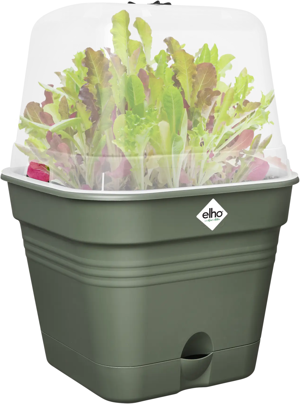 Anzuchttopf Set green basics 15cm - Quadrat - laubgrün