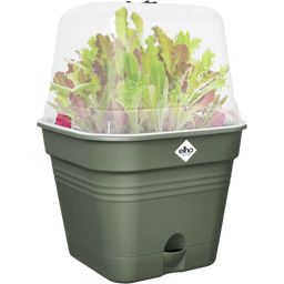 elho green basics growpot square - 20 cm - verde foglia