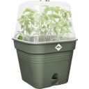 Macetero de Cultivo Green Basics Cuadrado - 20 cm - Verde hoja