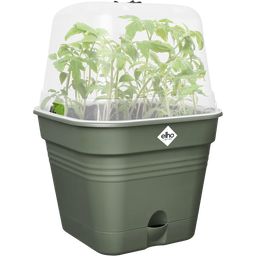 elho green basics growpot square - 20 cm - verde foglia