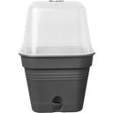 elho Green Basics Growing Pots 30 cm - Square - Living Black