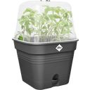 Macetero de Cultivo Green Gasics Cuadrado - 30 cm - Negro