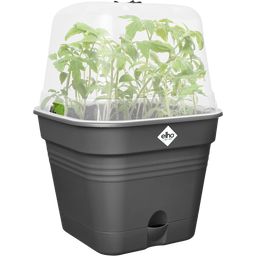 elho green basics growpot square - 30 cm - nero