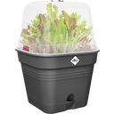 Macetero de Cultivo Green Gasics Cuadrado - 30 cm - Negro