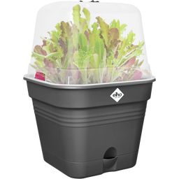 elho green basics growpot square - 30 cm - nero