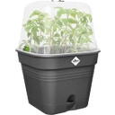 elho Green Basics Growing Pots 35 cm - Square - Living Black
