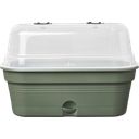 elho green basics grow tray allin1 - M - verde foglia