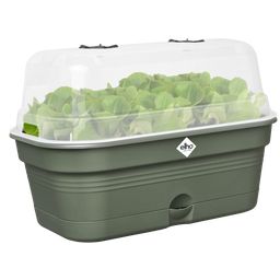 elho green basics grow tray allin1 - M - verde foglia