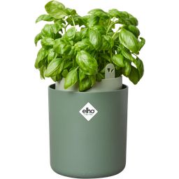 elho Bouncy Basil Herb Pot - Leaf Green