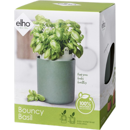 elho Bouncy Basil Herb Pot - Leaf Green