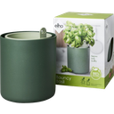 elho Pot pour Herbes Aromatiques BOUNCY BASIL - Leaf Green