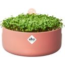 elho Magic Microgreens Planteringskruka - toffee terra