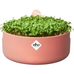 elho Magic Microgreens Growing Tray - Toffee Terra