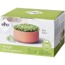 elho Magic Microgreens Growing Tray - Toffee Terra