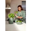 elho Amazing Avocado Pot - Leaf Green