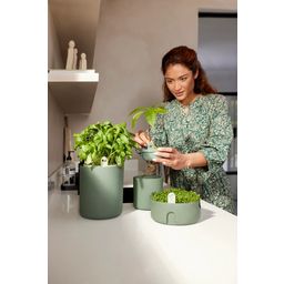 elho Amazing Avocado Pot - Leaf Green