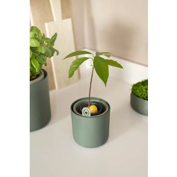 elho Amazing Avocado Pot - växtgrön