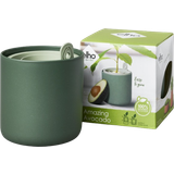 Maceta para Aguacate "amazing avocado pot"