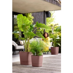 elho greensense aqua care 38cm, square - Clay Brown