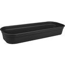 elho green basics Growing Tray L - Lively Black