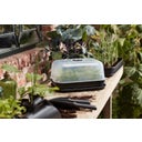 elho green basics Anzuchthaube M - M