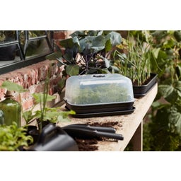 elho green basics Anzuchthaube M - M