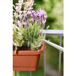 elho noa balcony trough - M - terra