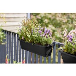 elho noa balcony trough - M - living black