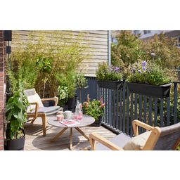 elho noa balcony trough - M - living black