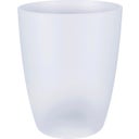 Brussels Orchid High Flower Pot - 12.5 cm - Transparent