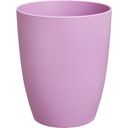 Brussels Orchid High Flower Pot - 12.5 cm - Intense violet