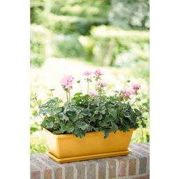 elho barcelona trough, 40 cm - giallo miele