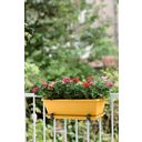 elho barcelona trough, 40 cm - giallo miele