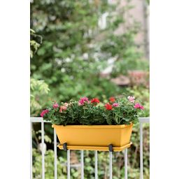 elho barcelona trough, 40 cm - giallo miele