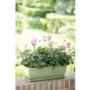 elho barcelona Balcony Box 40cm - Pistachio green