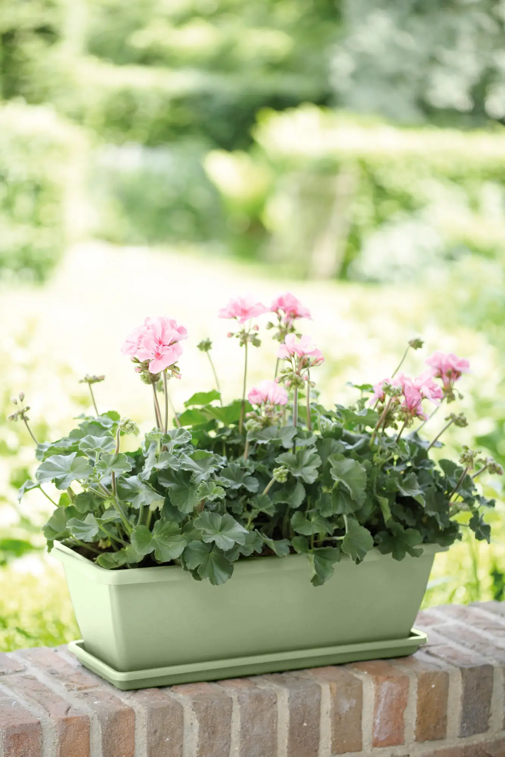 elho barcelona Balcony Box 50cm - Pistachio green