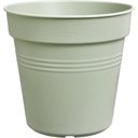 Pot de Culture GREEN BASICS - Vert Pierre - 11 cm