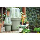 elho green basics growpot  - Verde Pietra - 11 cm