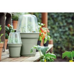 elho green basics growpot  - Verde Pietra - 11 cm