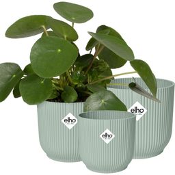 Lot de 3 VIBES FOLD Ronds Vert Sorbet - 14 cm, 16 cm, 18 cm - 1 kit